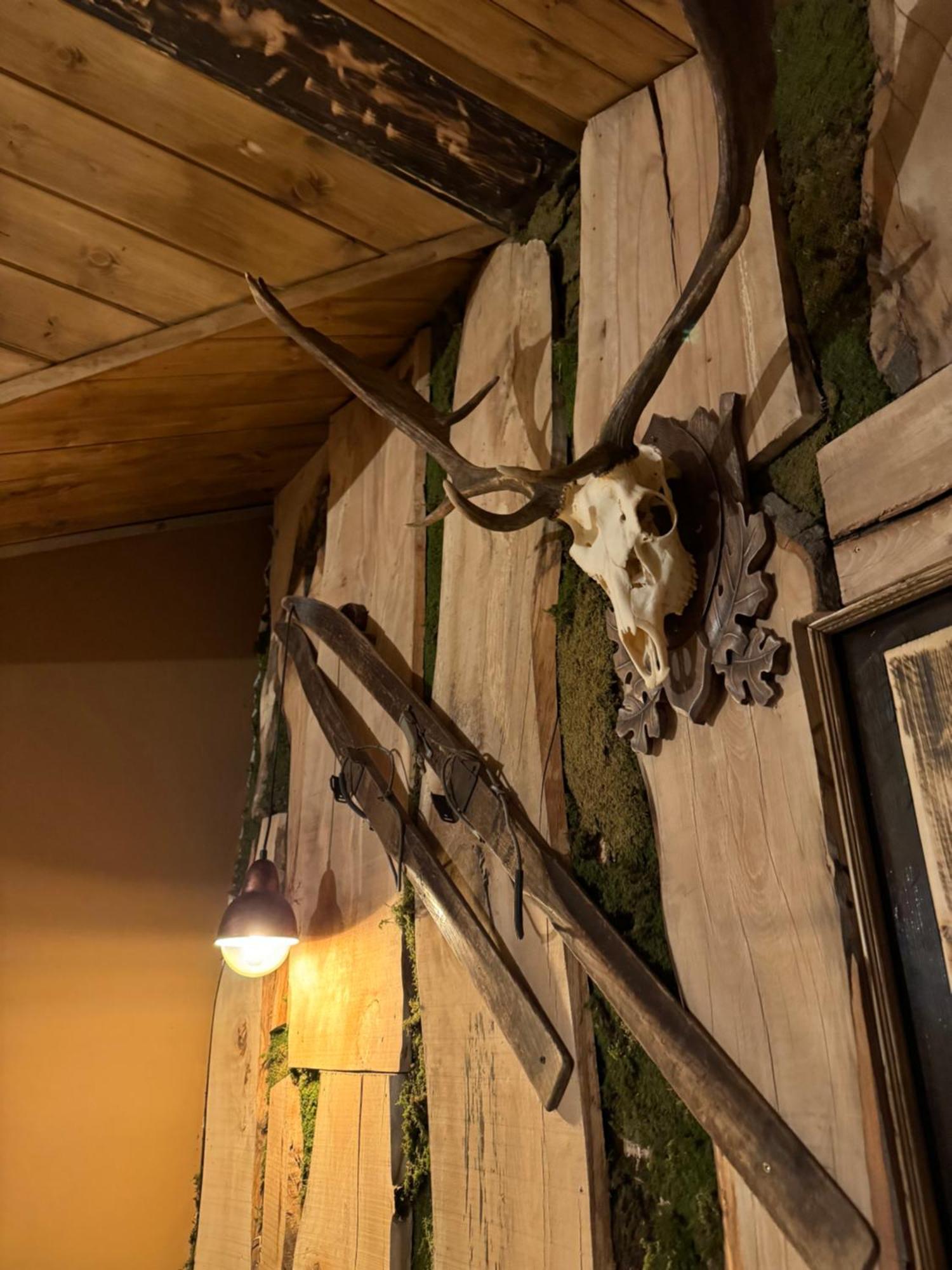 The Forest Villa Borovets Ngoại thất bức ảnh