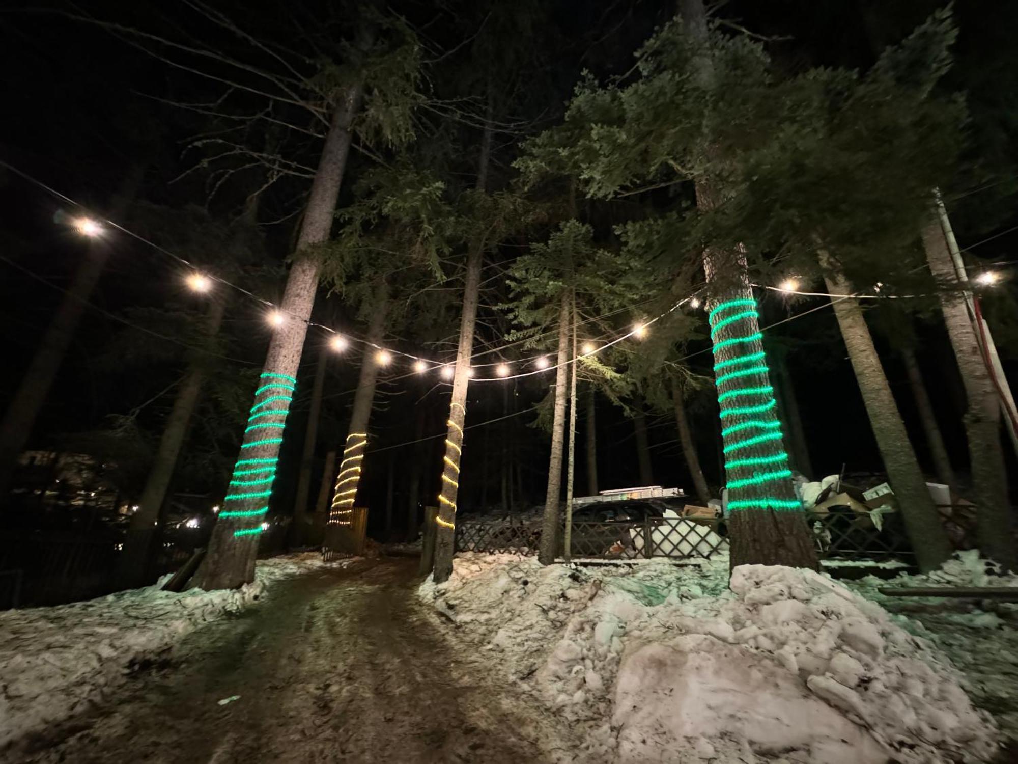 The Forest Villa Borovets Ngoại thất bức ảnh