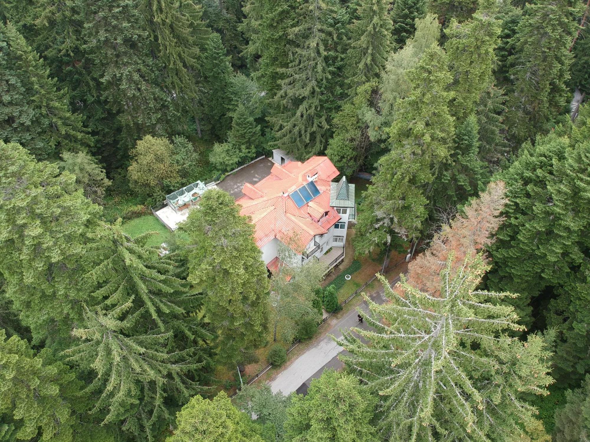 The Forest Villa Borovets Ngoại thất bức ảnh